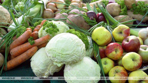 Беларусь занимает первое место в ЕАЭС по производству сельхозпродукции на душу населения