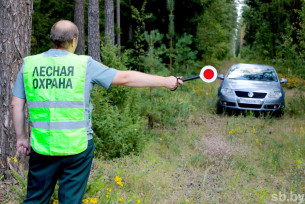 Запреты и ограничения на посещение лесов действуют в 78 районах Беларуси