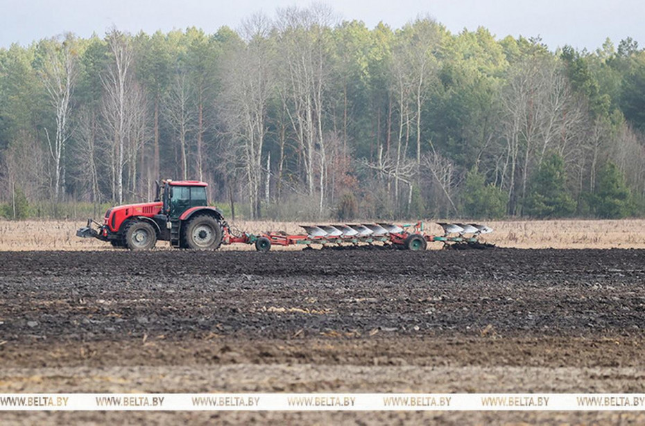 Посевные площади, подготовка техники и капризная погода. Как в Беларуси начинаются весенние сельхозработы.