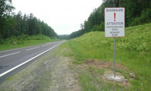 Почти 4 миллиона рублей поступило в бюджет области благодаря местному сбору за пересечение транспортными средствами госграницы