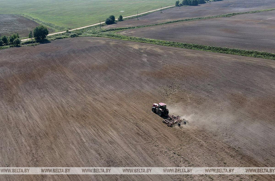 КГК выявил недостатки при проведении осеннего сева в Гродненской области