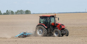 К севу кукурузы в Гродненской области планируют приступить не раньше 20 апреля