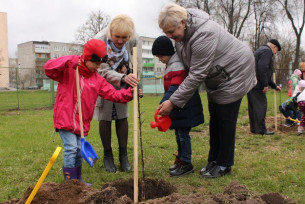 Посадили яблоневый сад. Как взрослые и дети-дошколята оставили свой след в истории родного города